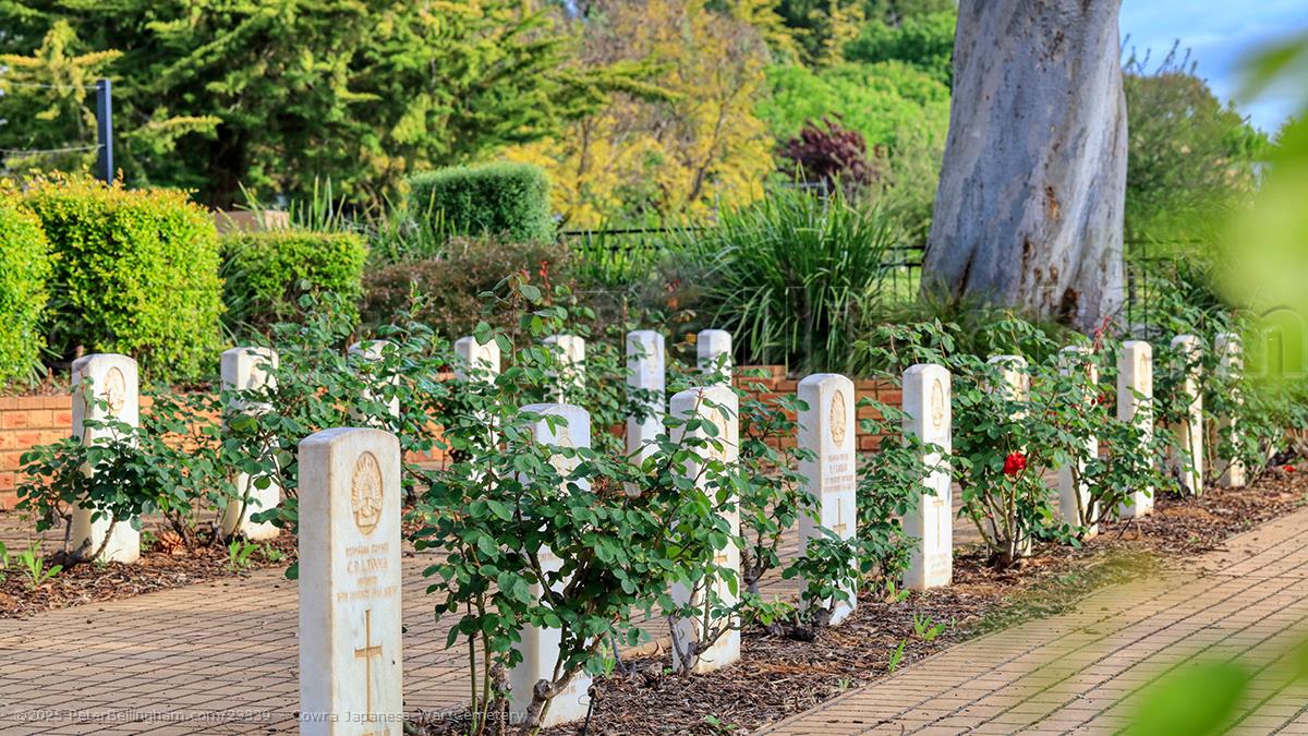 Peter Bellingham Photography Cowra Japanese War Cemetery